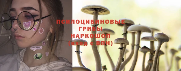 гидра Абдулино