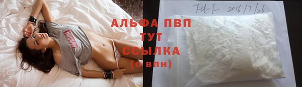 гашик Абаза