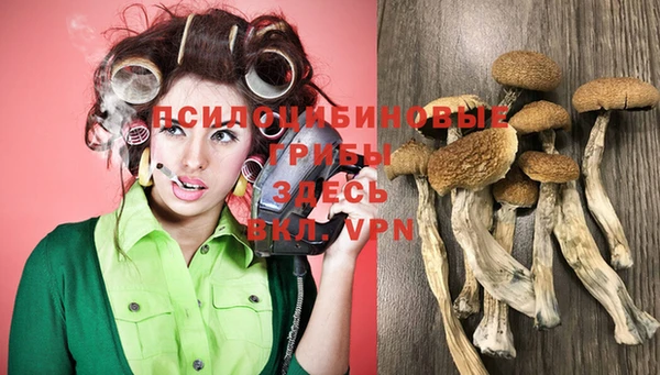 соль курить ск Пестово