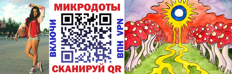 даркнет какой сайт  Судогда  Галлюциногенные грибы MAGIC MUSHROOMS  цены  